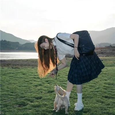爱是一只猫